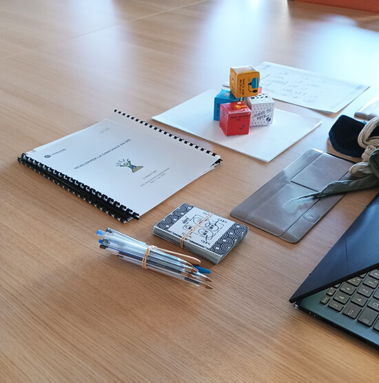Formation ESAT